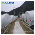 Green house agriculture productive greenhouse for mushroom